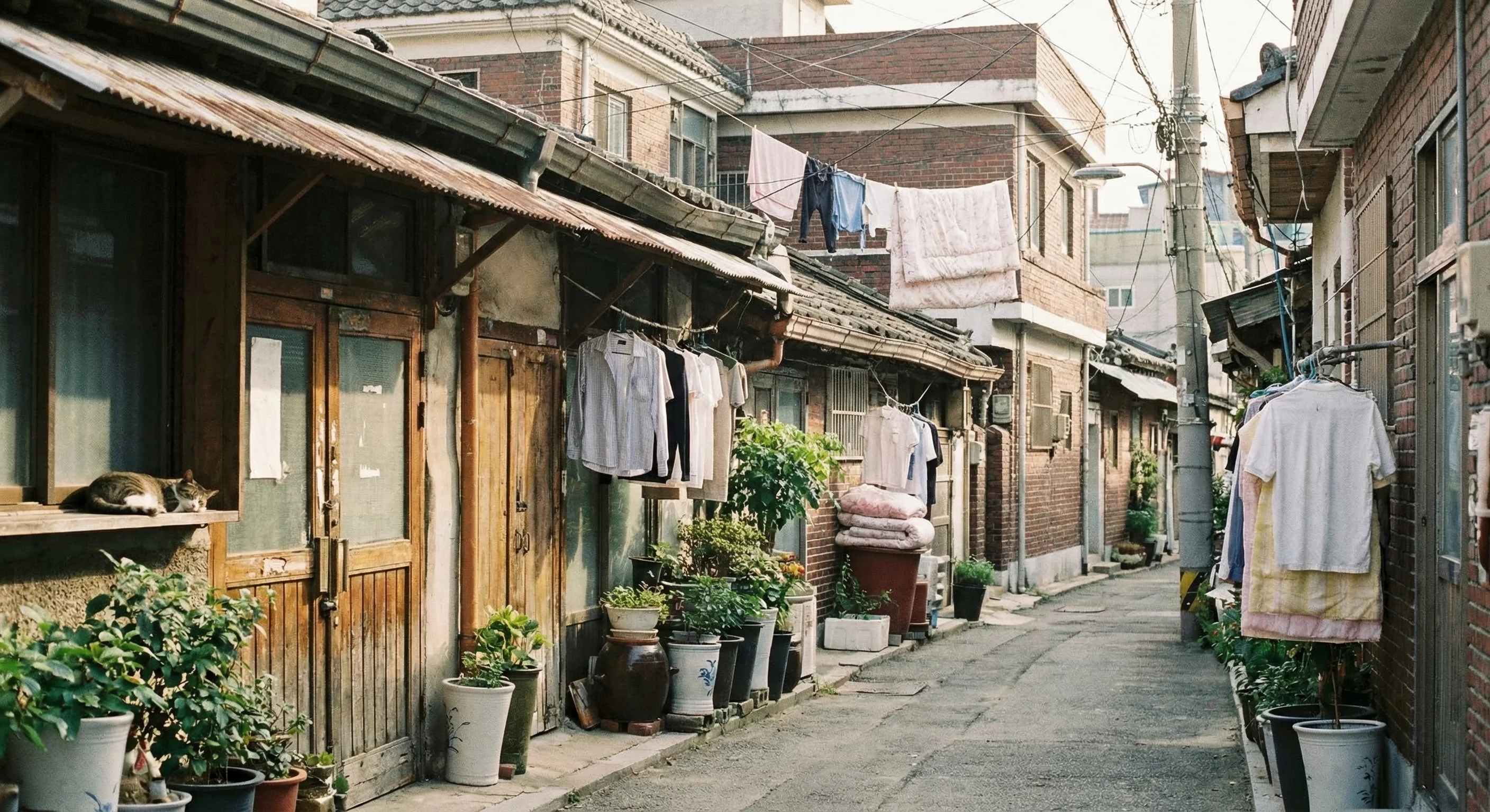 세대 동행